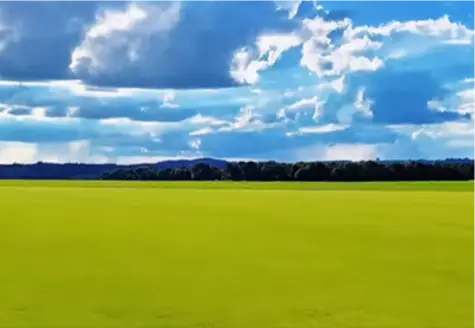 Agrupar 2 copiar
